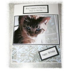 Funny Cat Birthday Card - What happens in the box...